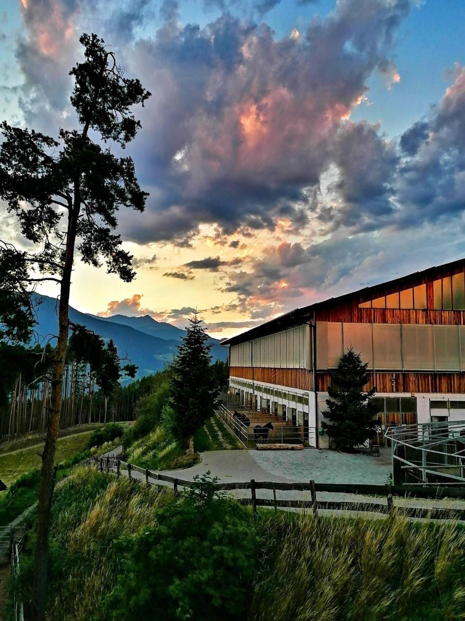 Oberprantschoellhof - Horse Mountain Stable Brixen Buitenkant foto